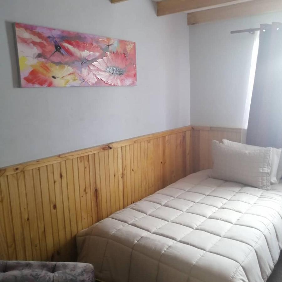 Hostal Y Cabanas Vientos Del Sur Puerto Ingeniero Ibanez Ngoại thất bức ảnh